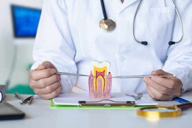 Best Orthodontic Emergency Dentist in Bourbonnais, IL